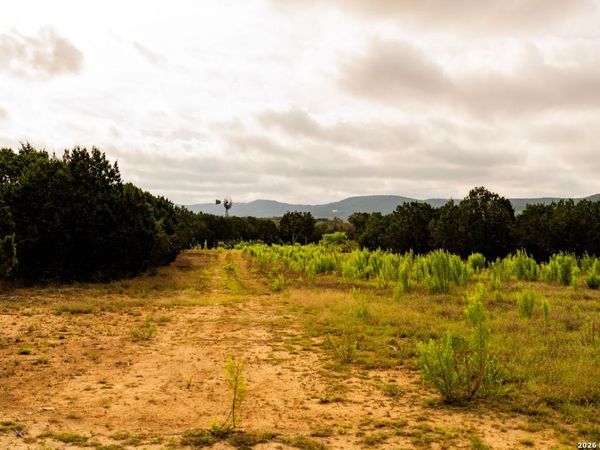 3584 Privilege Creek Road, Bandera, TX 78063