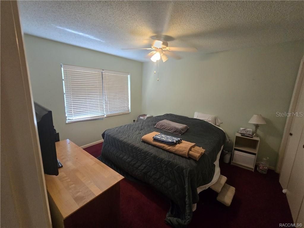 1 Holly Court , Homosassa, FL 34446 Photo