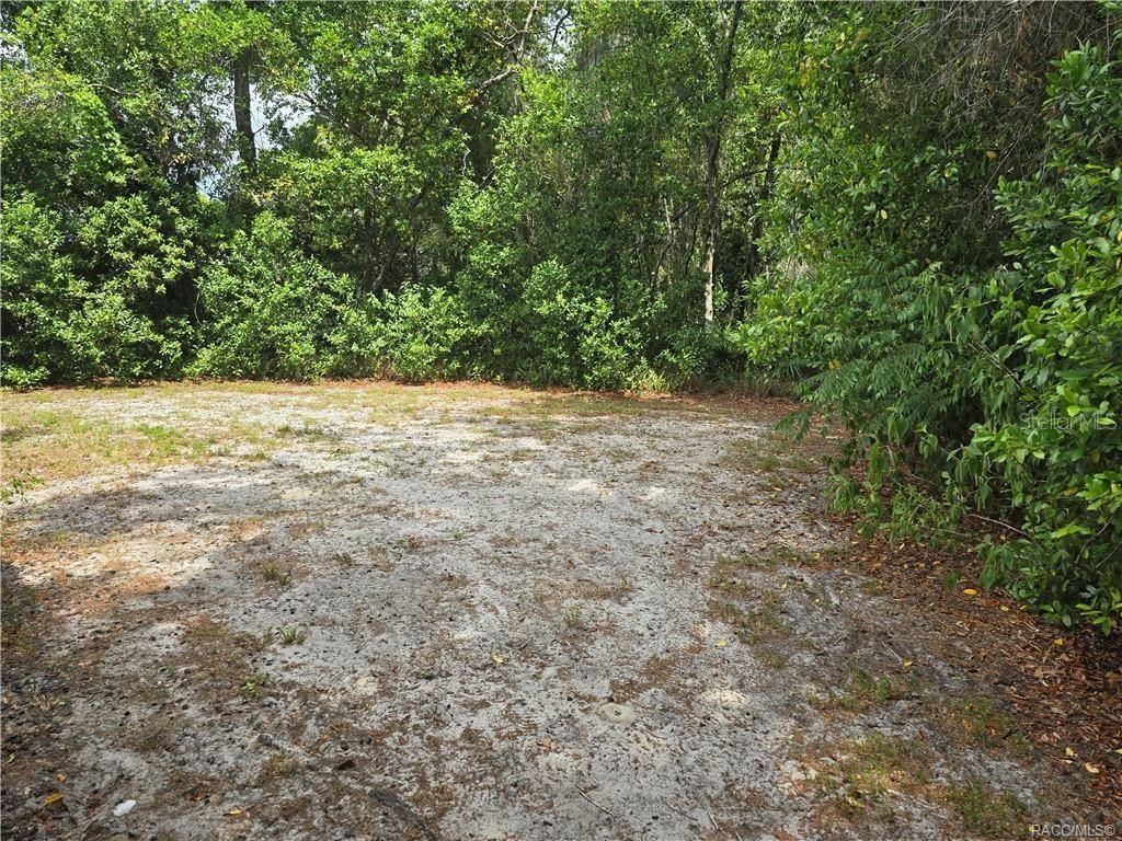 1 Holly Court , Homosassa, FL 34446 Photo