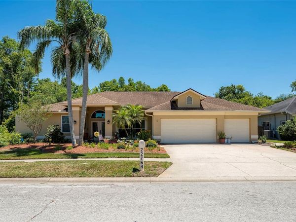 22754 MAGNOLIA TRACE BOULEVARD , LUTZ, FL 33549
