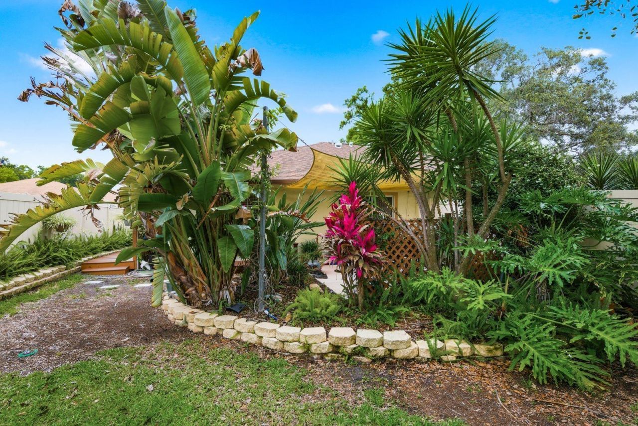 2696 Rae Court, Palm Harbor, FL 34684 Photo