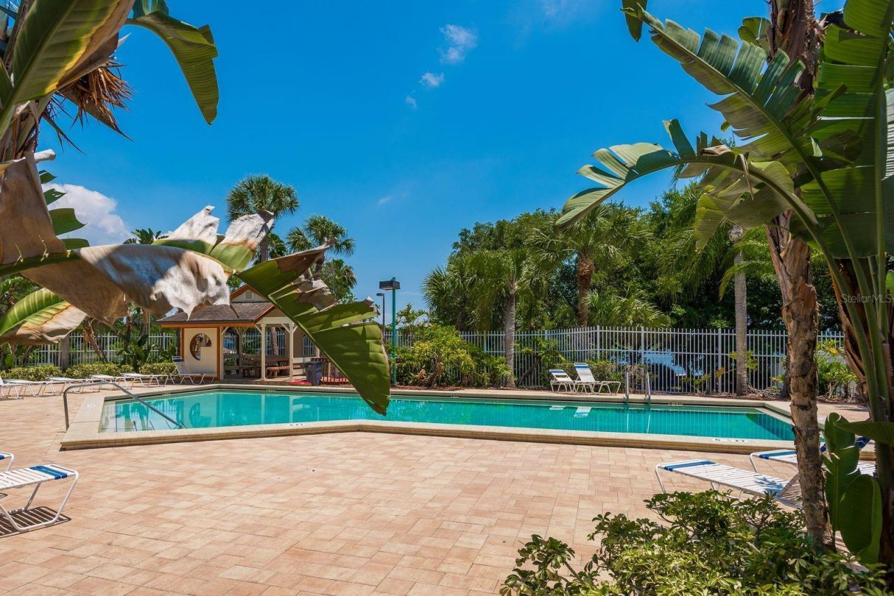2696 Rae Court, Palm Harbor, FL 34684 Photo