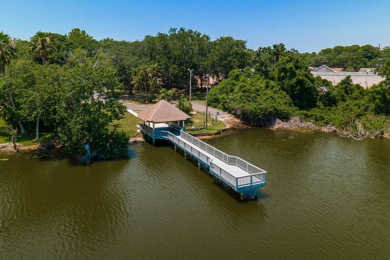 2696 Rae Court, Palm Harbor, FL 34684 Photo