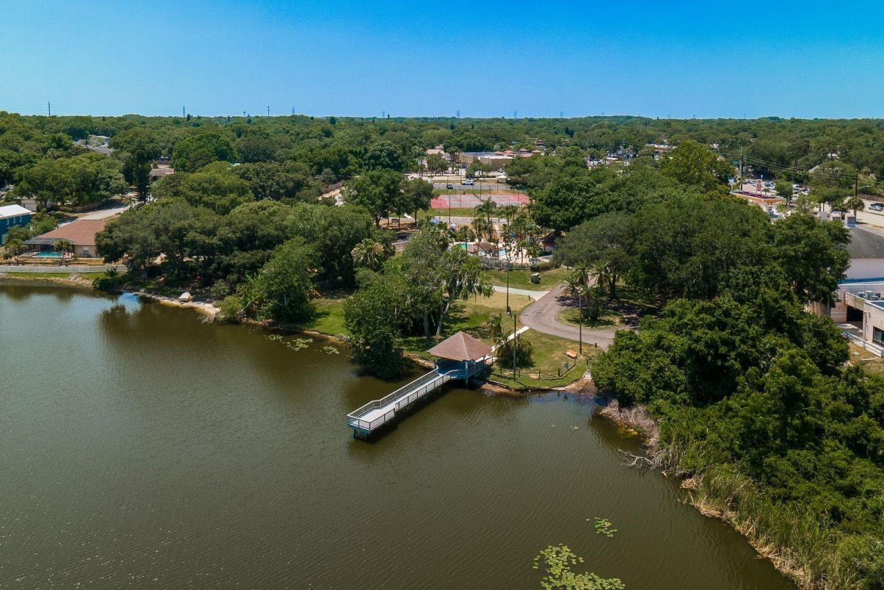 2696 Rae Court, Palm Harbor, FL 34684 Photo