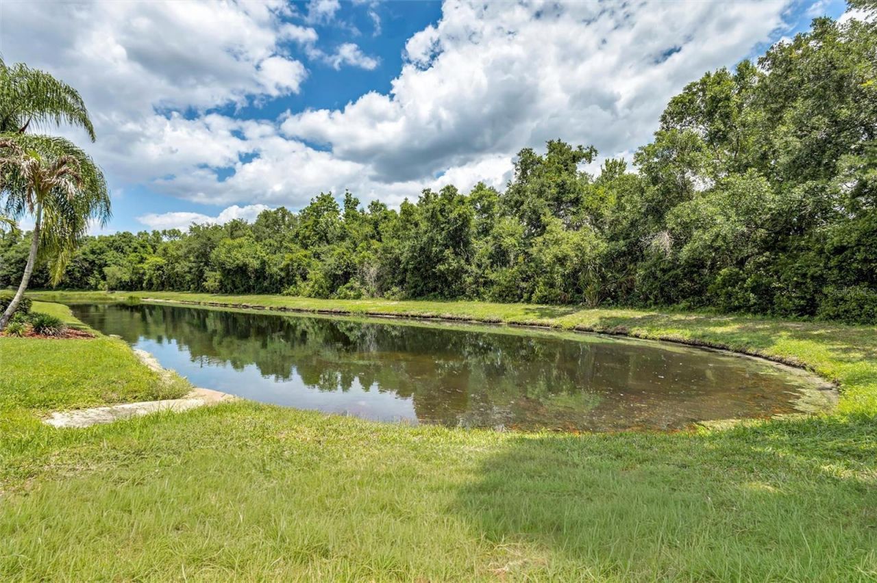 2310 141st Street E, Bradenton, FL 34212 Photo