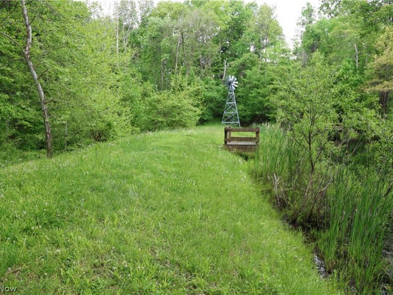 61342 High Hill Road, Cambridge, OH 43725 Photo 18