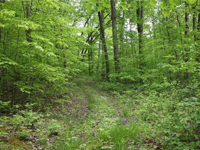 61342 High Hill Road, Cambridge, OH 43725 Photo 19