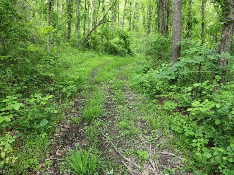 61342 High Hill Road, Cambridge, OH 43725 Photo 23