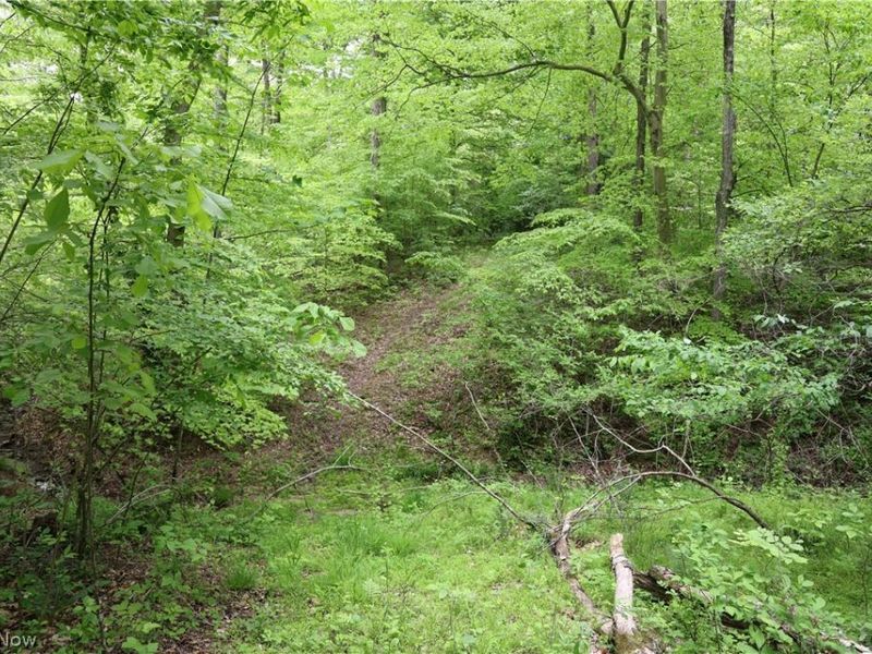 61342 High Hill Road, Cambridge, OH 43725 Photo 26