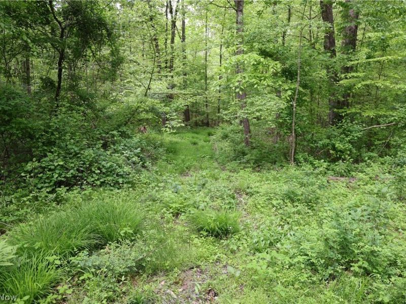 61342 High Hill Road, Cambridge, OH 43725 Photo 27