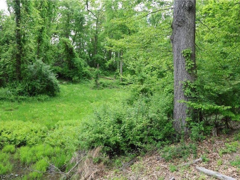 61342 High Hill Road, Cambridge, OH 43725 Photo 29