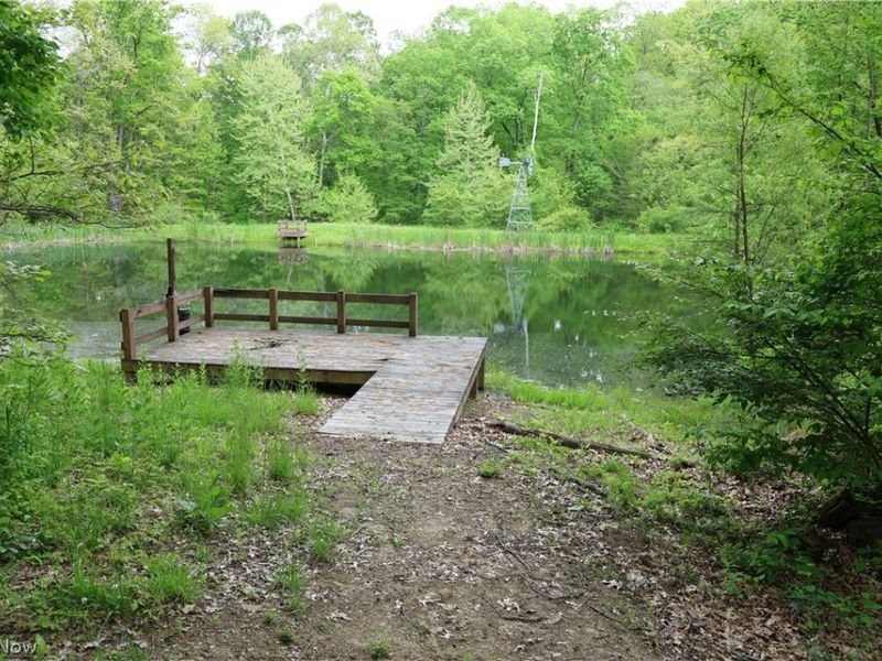 61342 High Hill Road, Cambridge, OH 43725 Photo 33