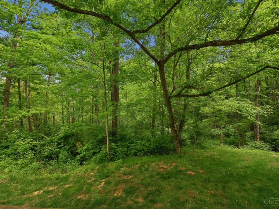 Property Image 64