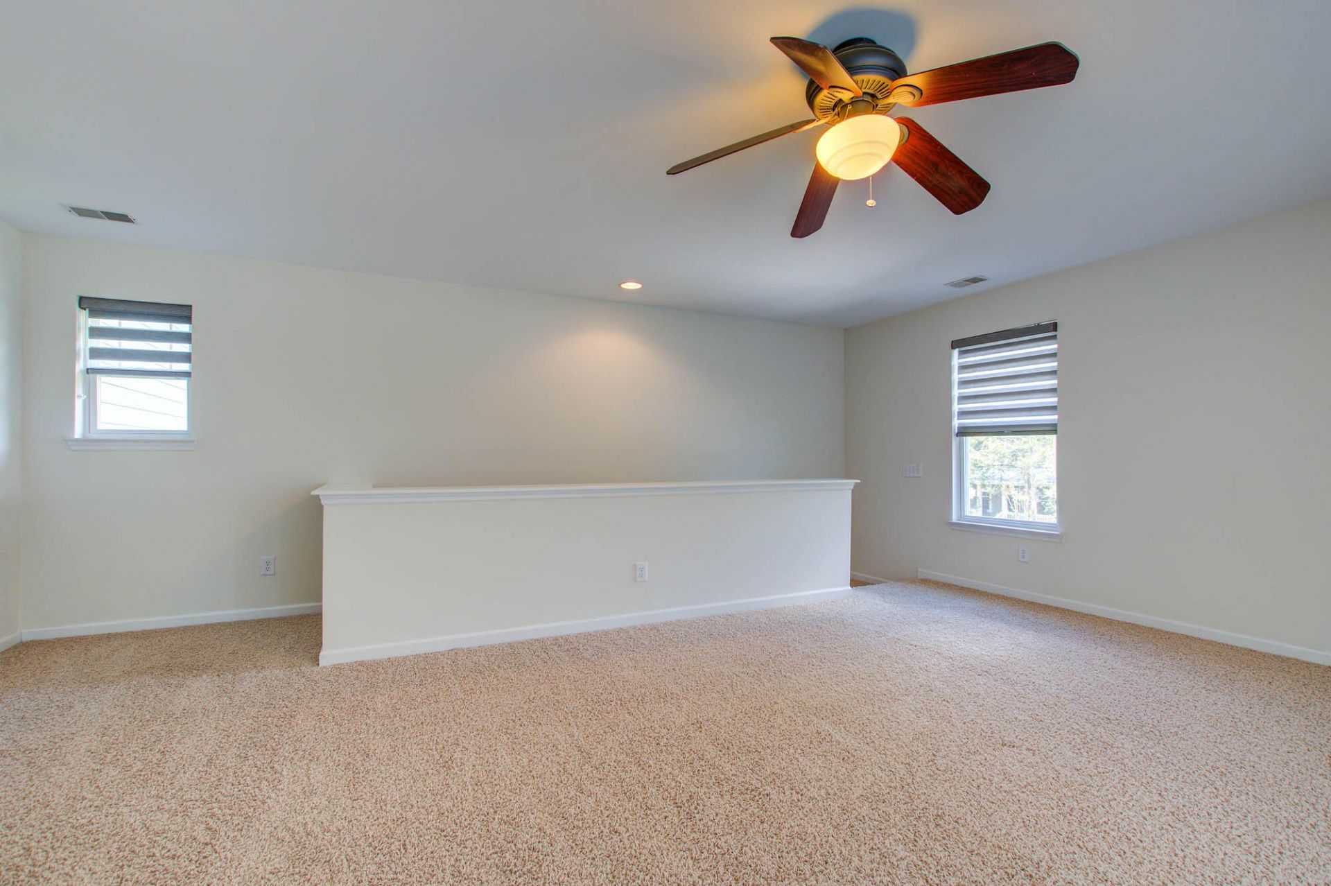 2217 Daniel Island Drive Photo 23