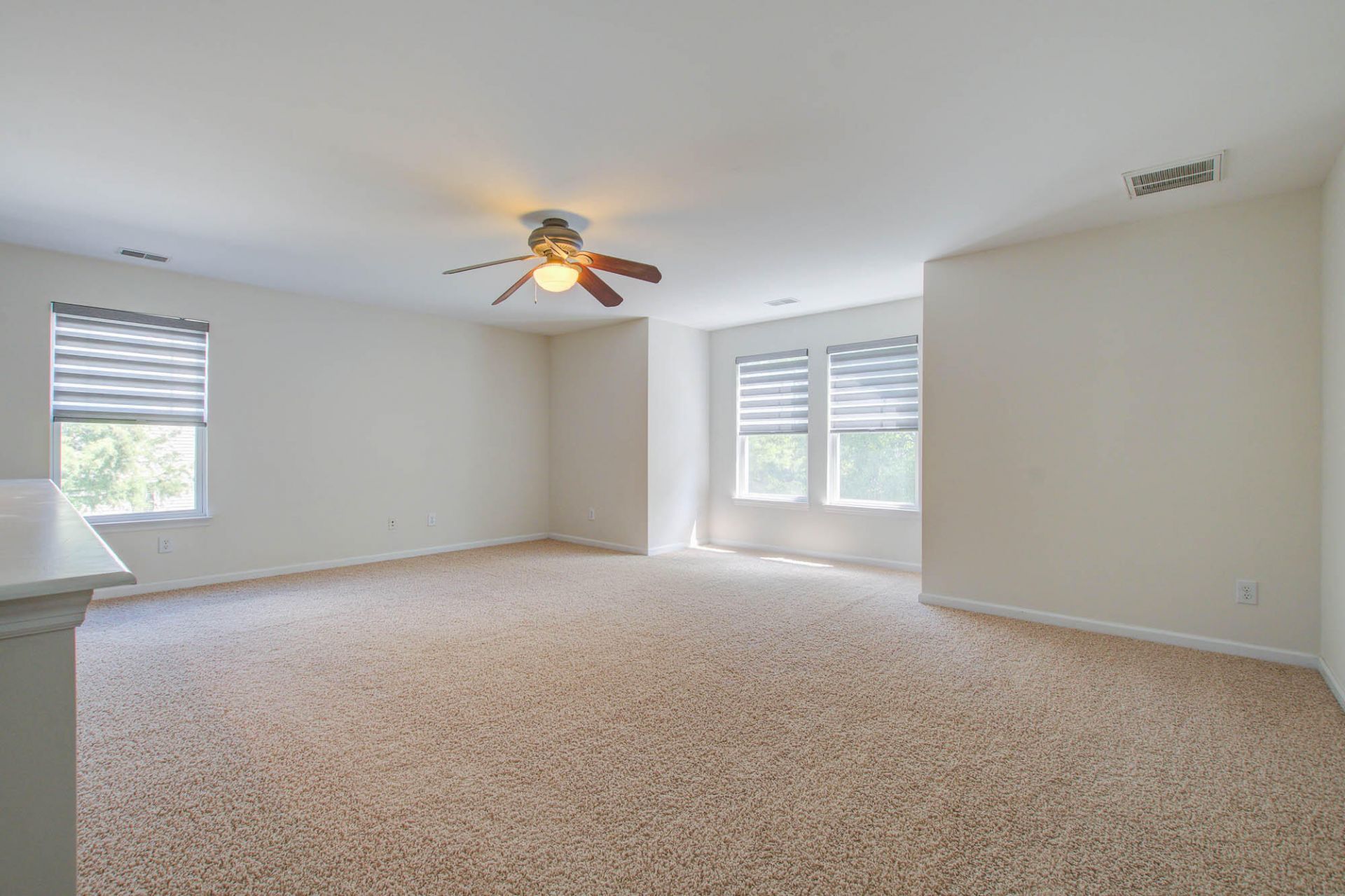 2217 Daniel Island Drive Photo 24