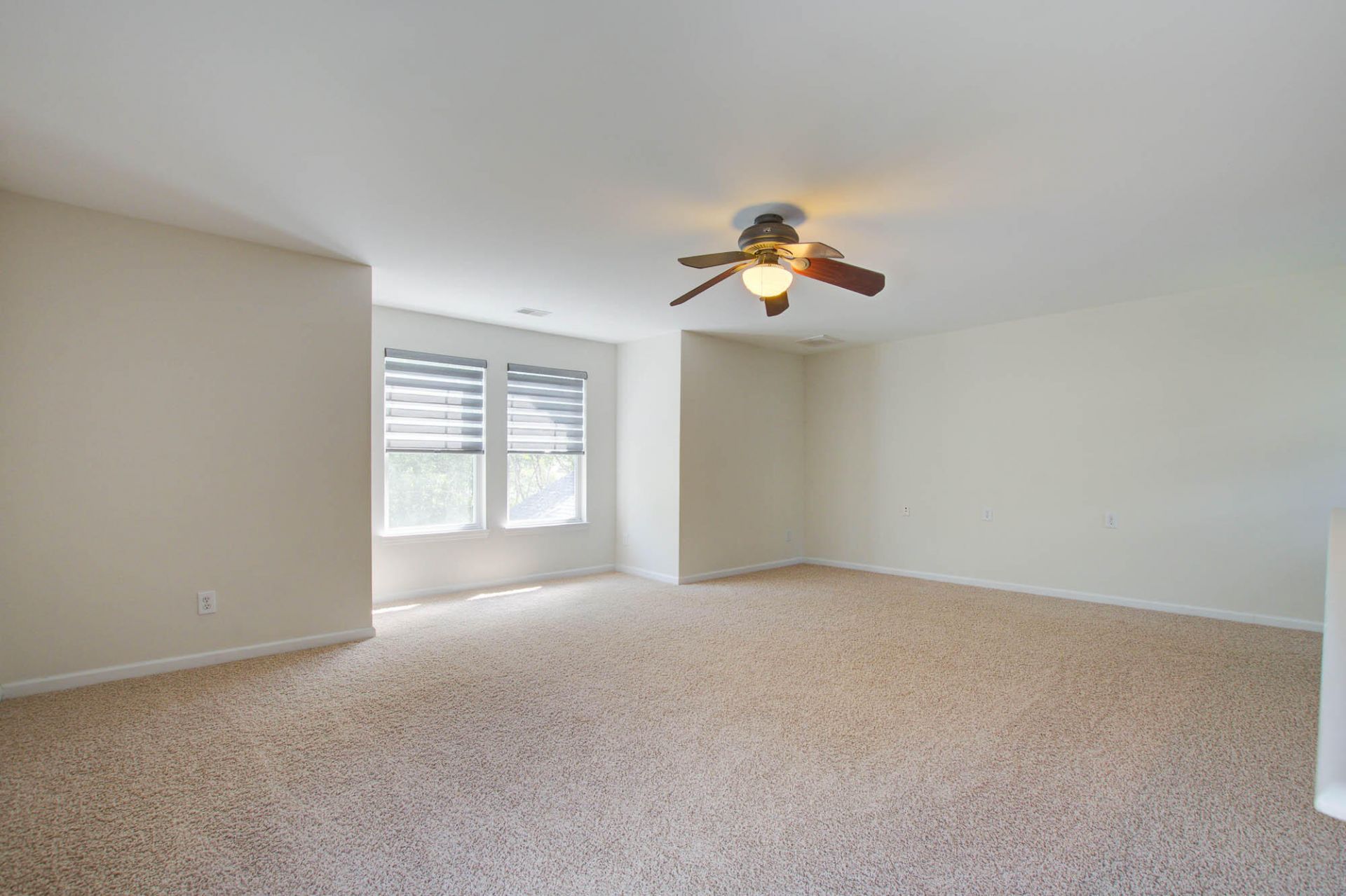 2217 Daniel Island Drive Photo 25