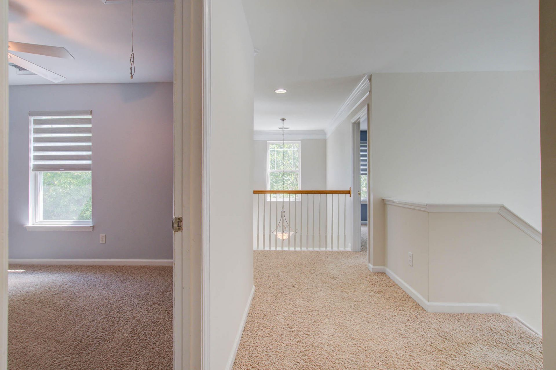 2217 Daniel Island Drive Photo 27