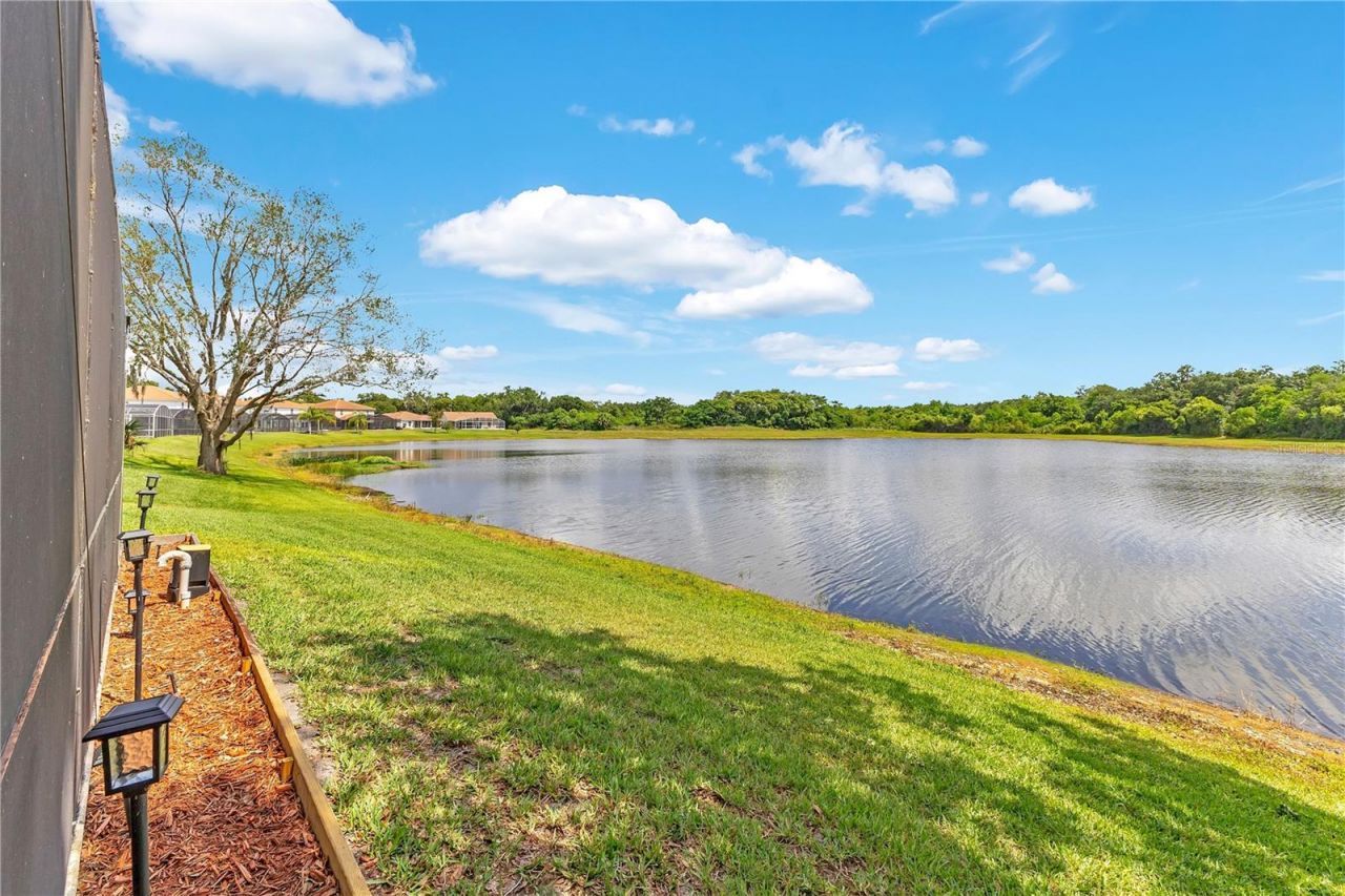 3129 Riachuelo Lane , Kissimmee, FL 34744 Photo