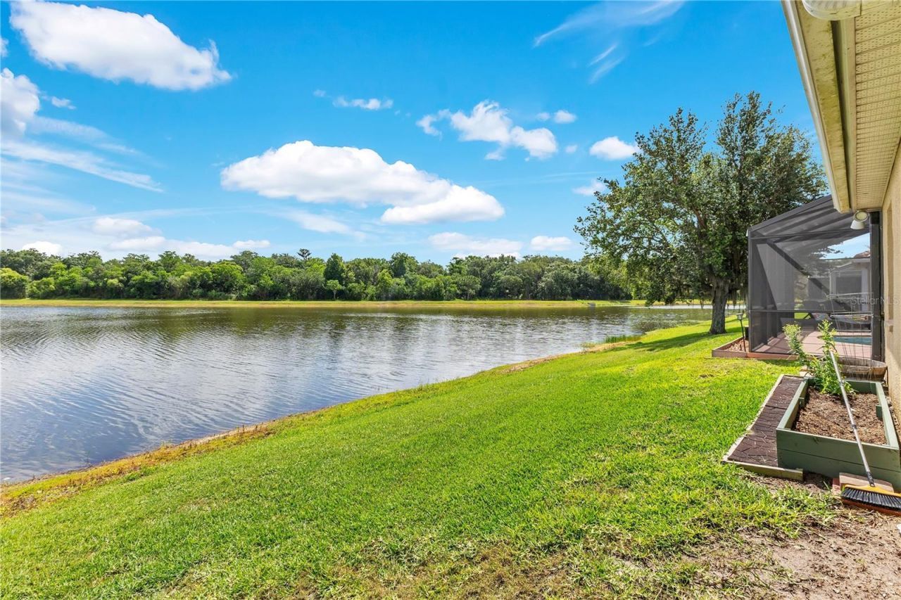3129 Riachuelo Lane , Kissimmee, FL 34744 Photo