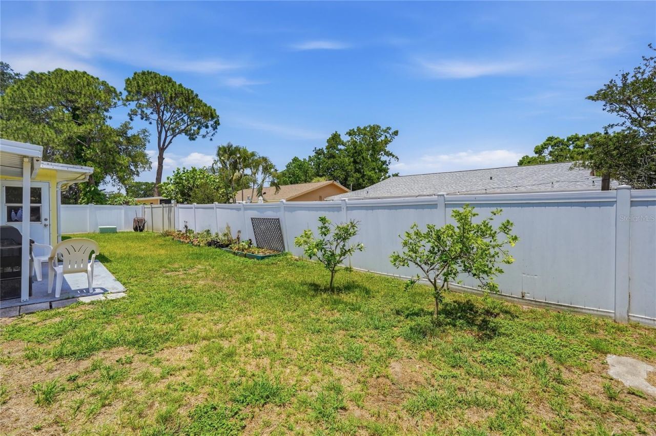 1634 Dale Circle N, Dunedin, FL 34698 Photo