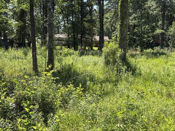 204 Dogwood Drive, Forest, MS 39074