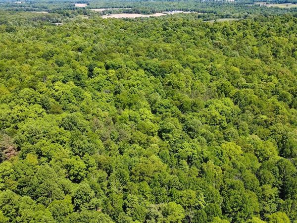 0 State Route 919 , Fordsville, KY 42343