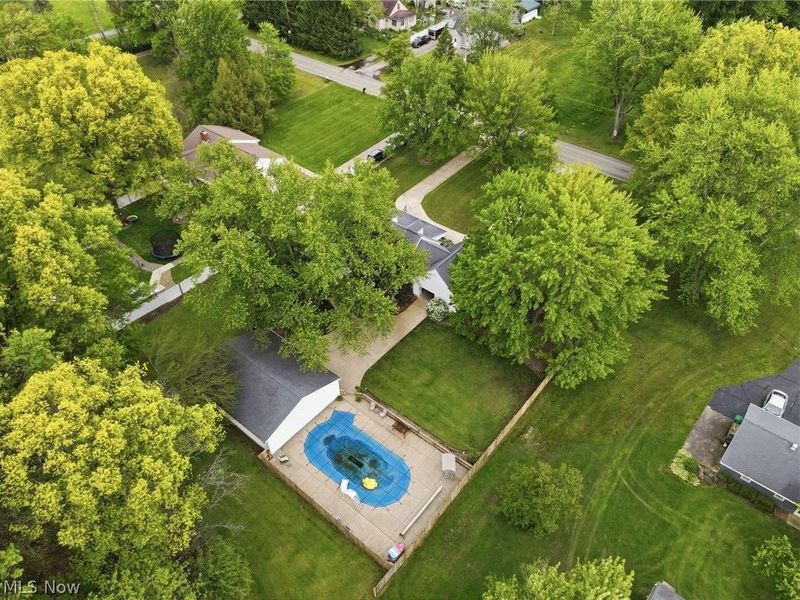 175 Henn Hyde Road NE, Howland, OH 44484 Photo 4