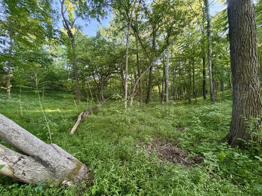 Property Image 25