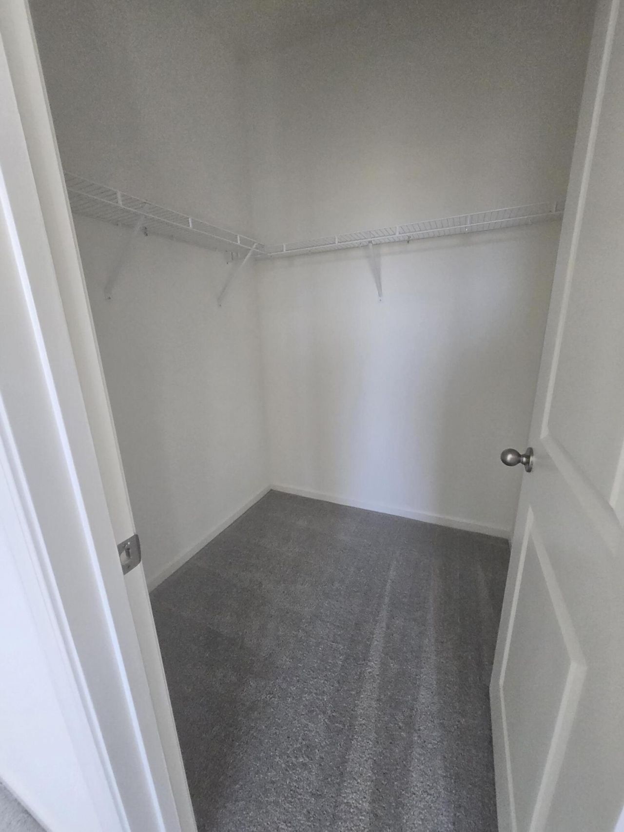 1212 Carriage Wood Circle Photo 7