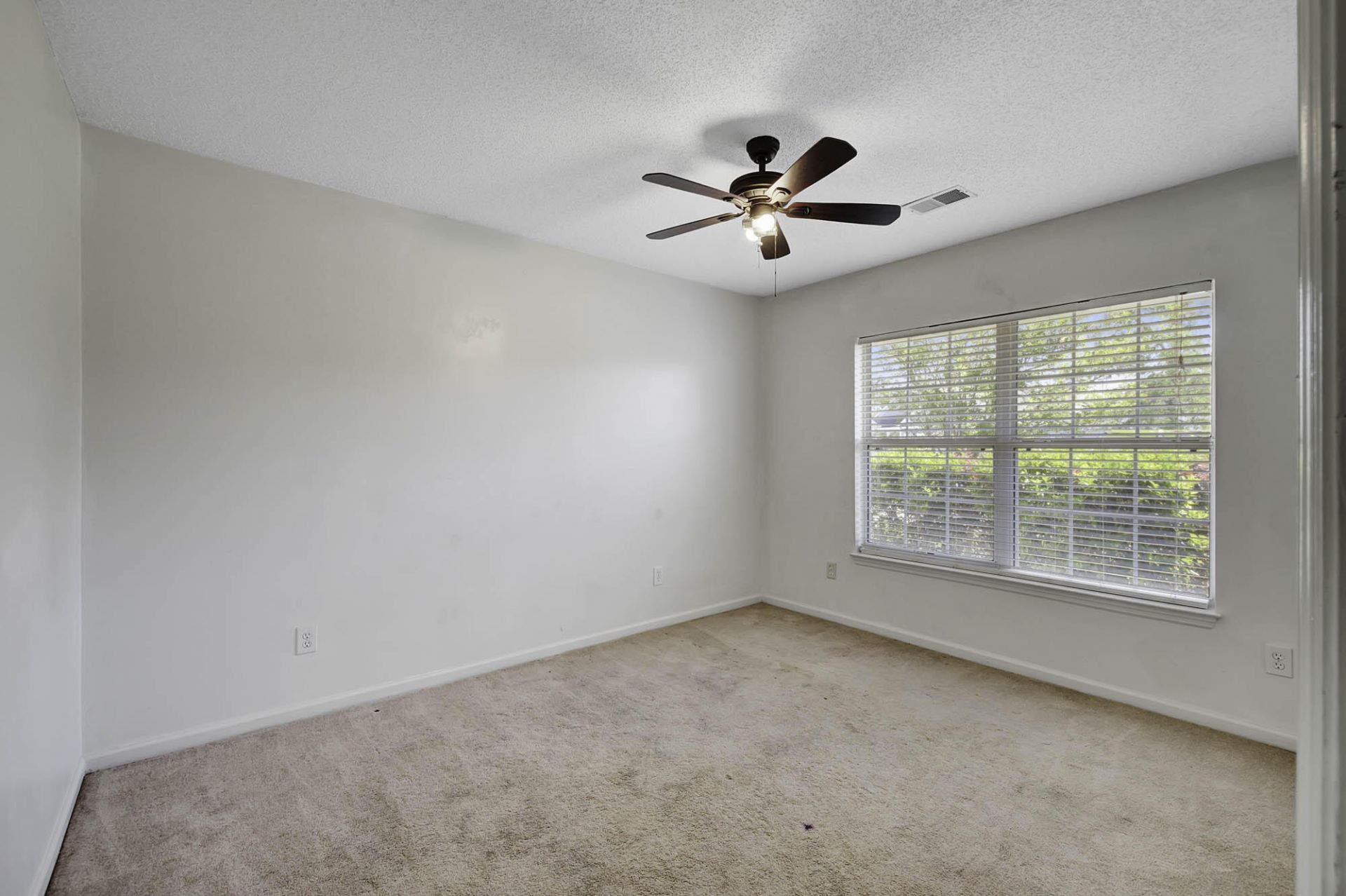 104 Wildberry Lane Photo 14