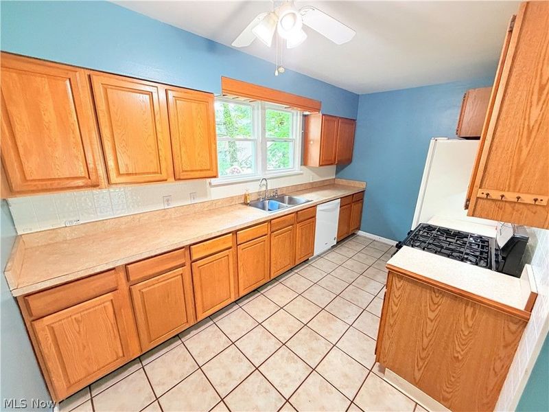 8803 Spring Valley Drive , Mentor, OH 44060 Photo 17