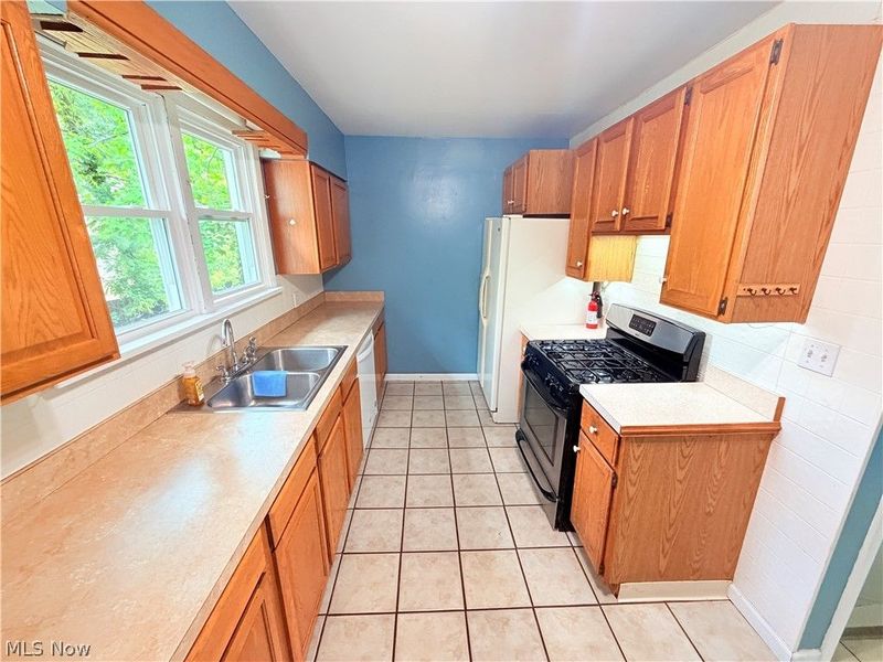 8803 Spring Valley Drive , Mentor, OH 44060 Photo 18