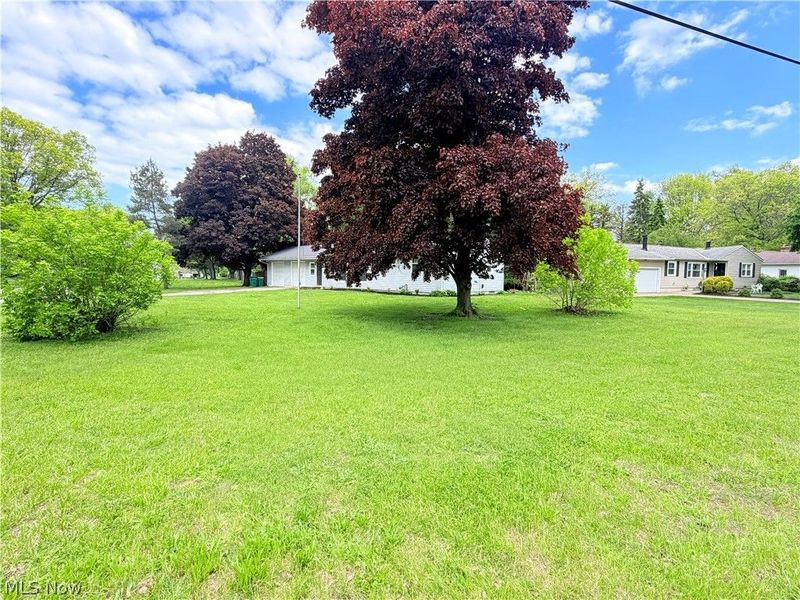 8803 Spring Valley Drive , Mentor, OH 44060 Photo 2