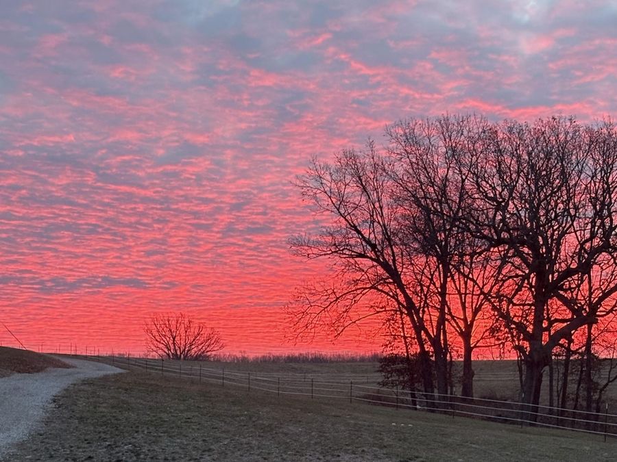 Property Image 80