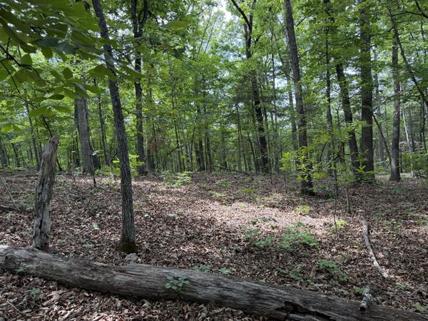 000 Moore Bend Road , Cedarcreek, MO 65627