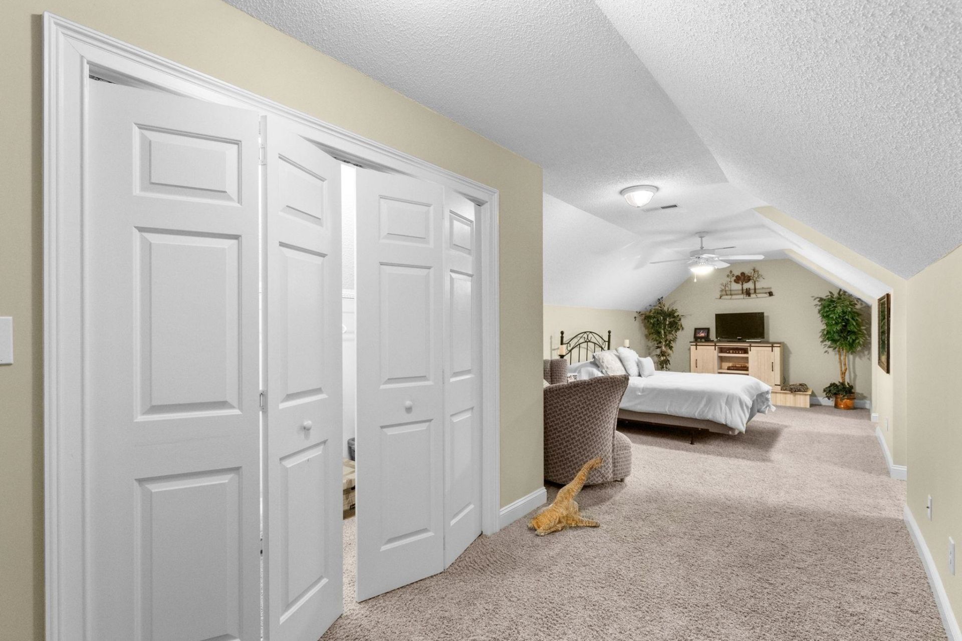 115 Coleman Ct. Photo 44