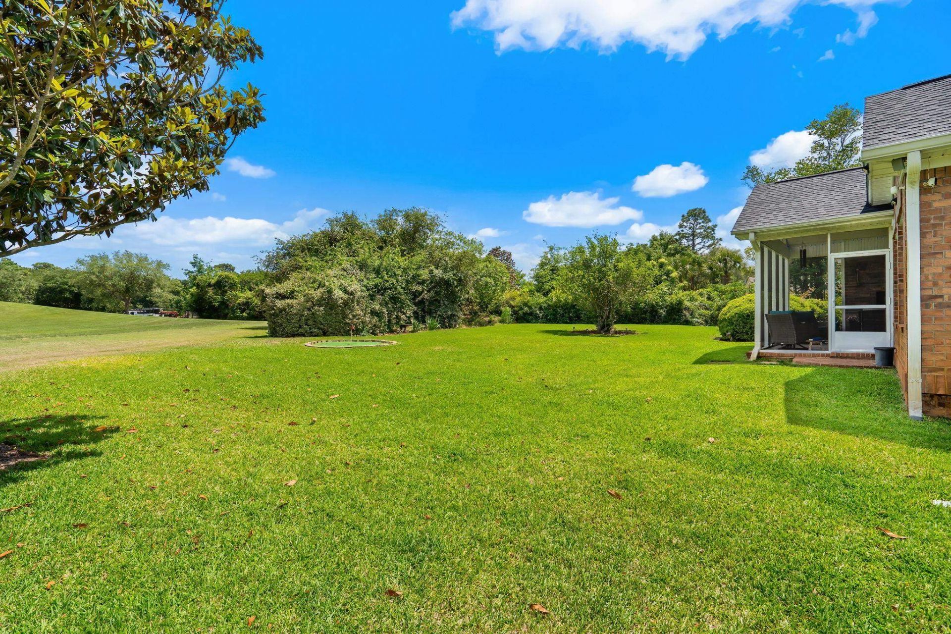 115 Coleman Ct. Photo 52