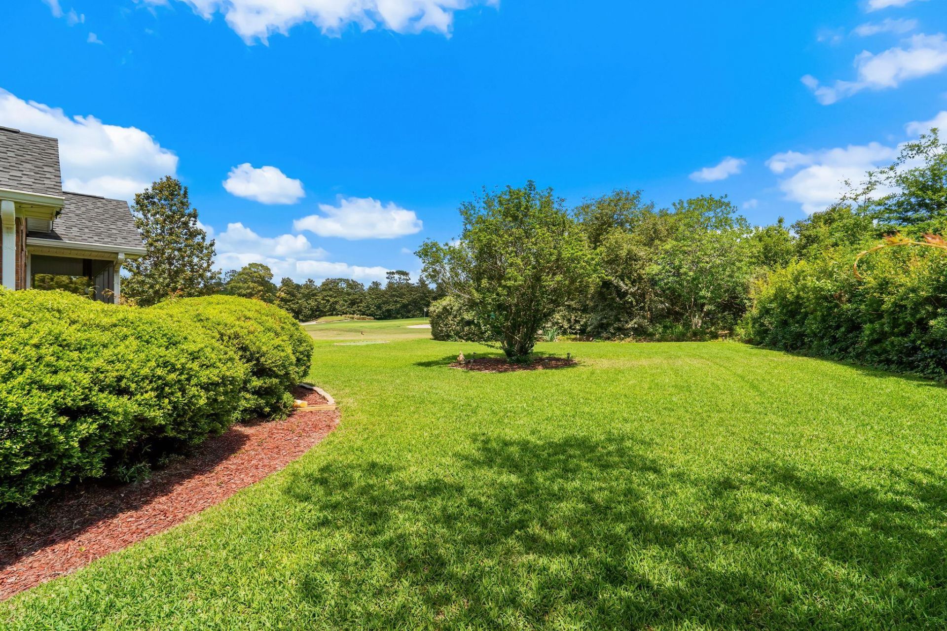 115 Coleman Ct. Photo 53