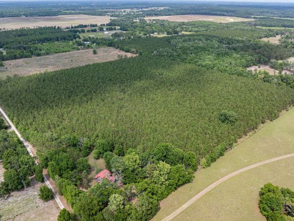 539 SW HERSCHEL CT (86 AC), Fort White, FL 32038