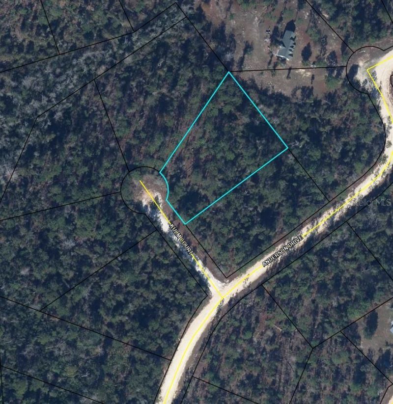 0000 Kulm Court, Alford, FL 32420 Main Photo