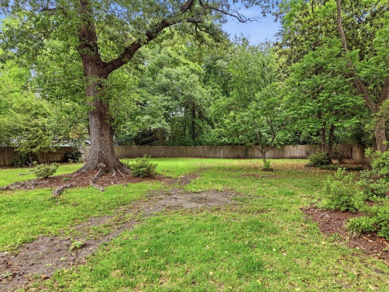494 Woodland Shores Road Photo 29