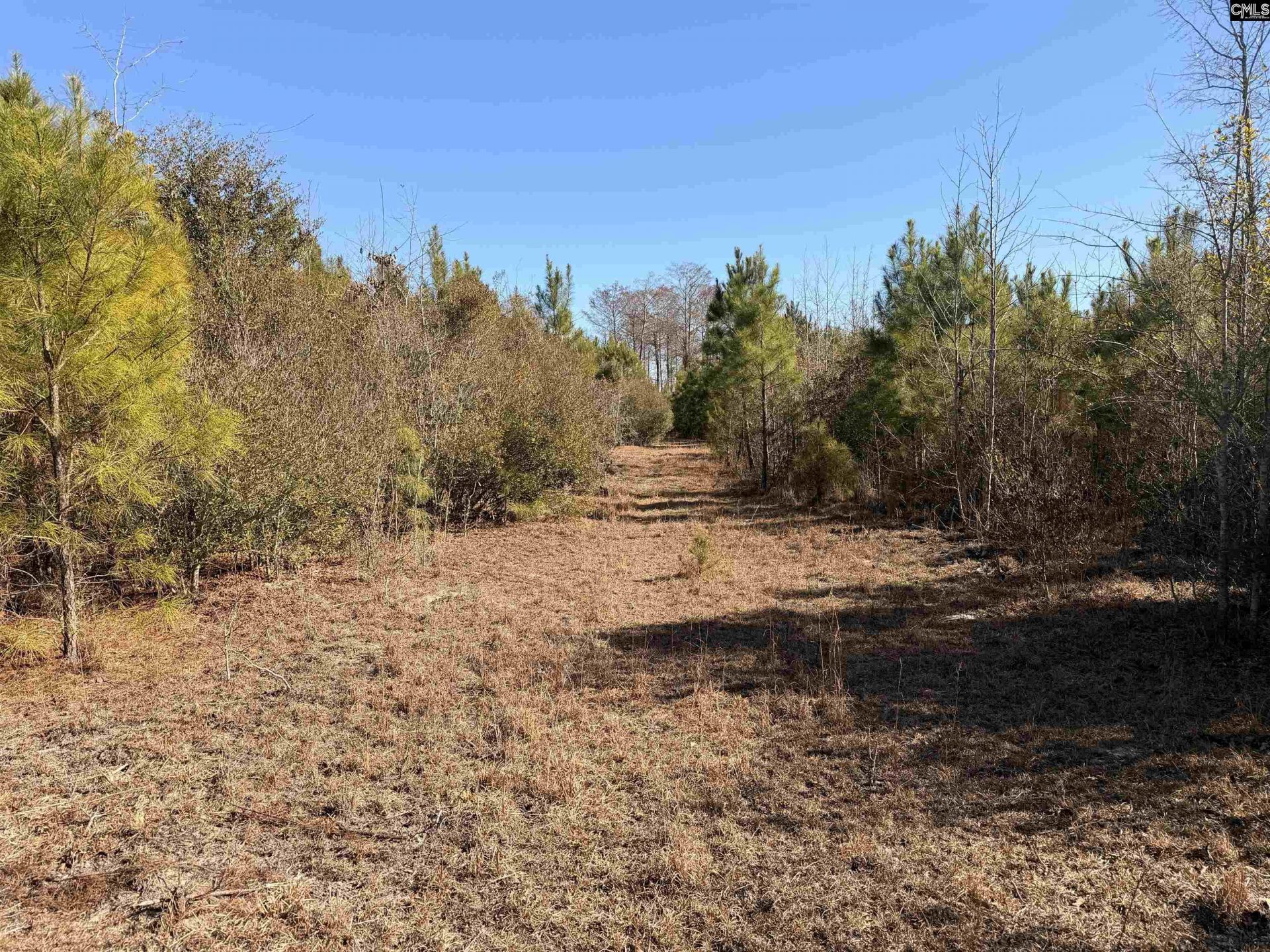 0 Proctor Road  Photo 11