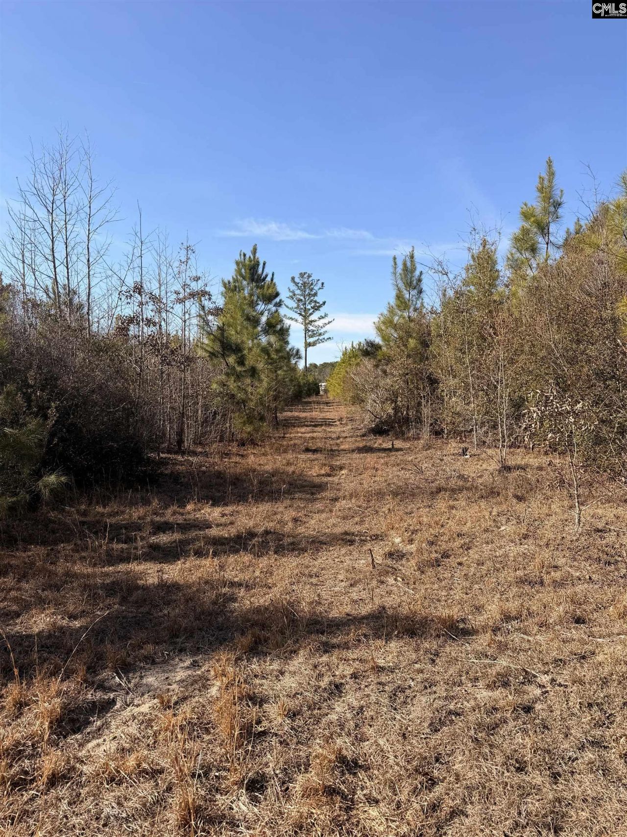 0 Proctor Road  Photo 8