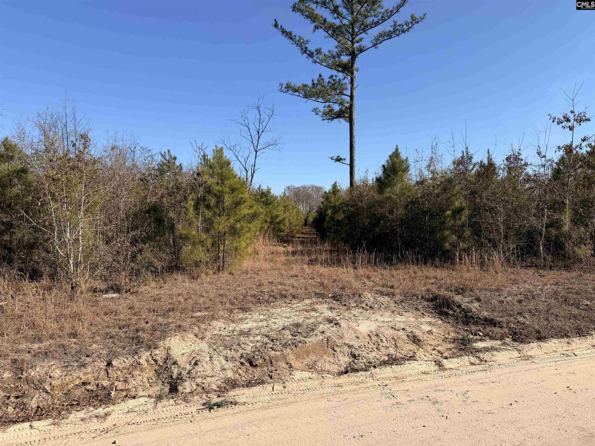0 Proctor Road  Photo 9