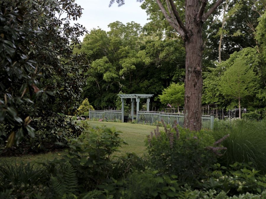 Property Image 54
