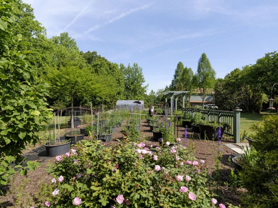 Property Image 59