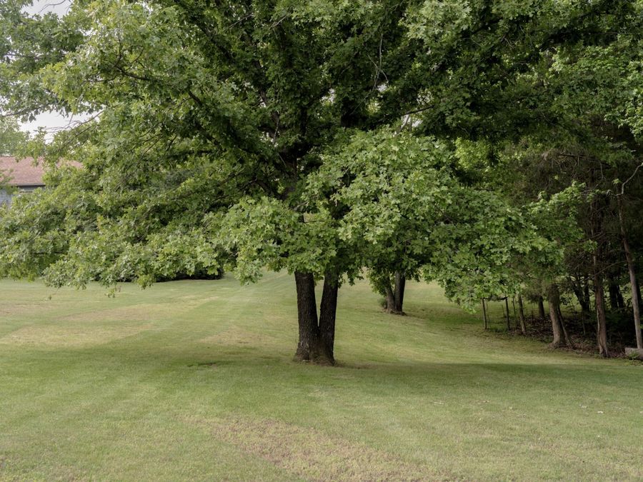Property Image 65