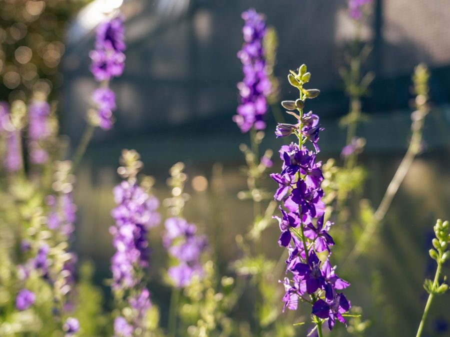 Property Image 71