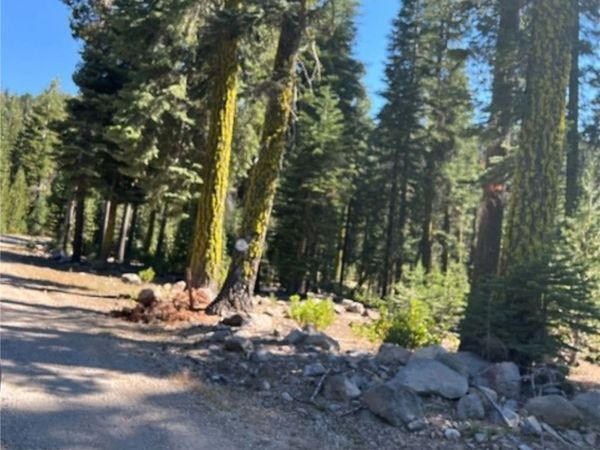 0 LOGGING Road, Viola, CA 96088
