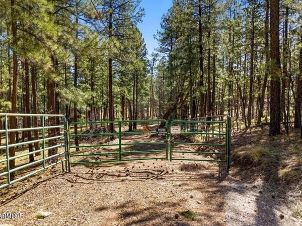 11 COUNTY ROAD 2135, Unit n/a, Alpine, AZ 85920